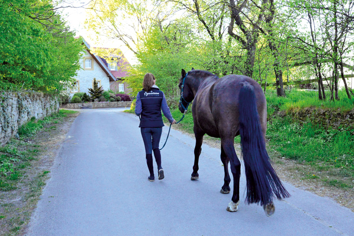 Oft beschränken sich die Reiter auf einen kurzen Spaziergang mit dem Pferd, um den Aufenthalt am Stall möglichst kurz zu ha