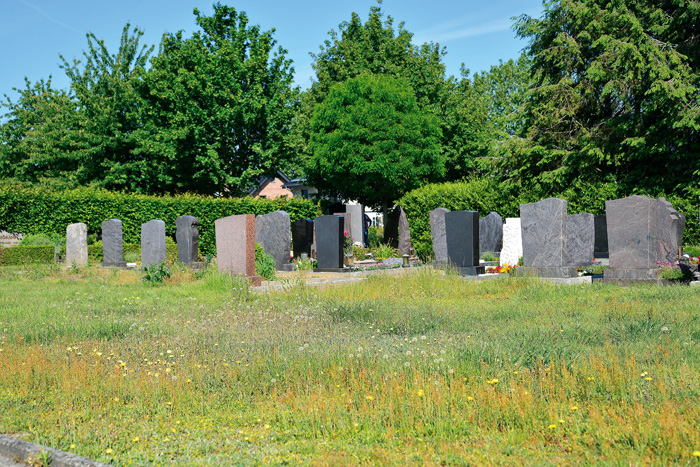 Die Rasenfläche hinter den Urnengräbern ist einigen Friedhofsbesuchern ein Dorn im Auge. Zwei Tage nach dieser Aufnahme wur