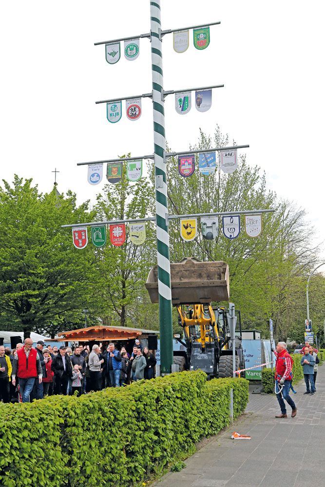 Kräftigen Beifall gab es, als sich der neue Maibaum wieder in den Himmel vor dem Varenseller Kloster reckte.  Fotos: RSA/Ste