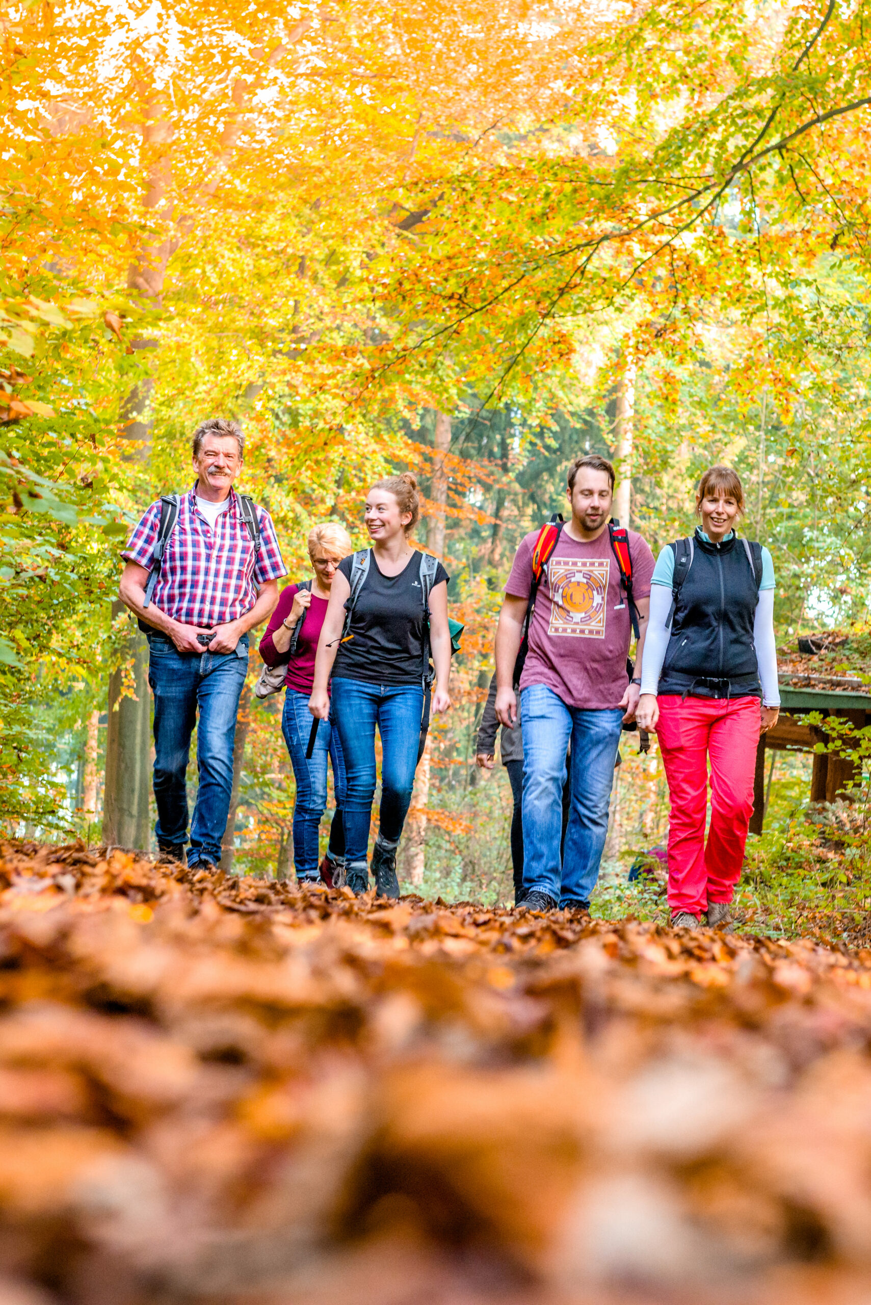 Naturerlebnisse im Kreis Gütersloh: Kostenfreie Wanderreihe NATUR.PUR lädt zu Herbstwanderungen ein.

Foto: Mario Wallenfan