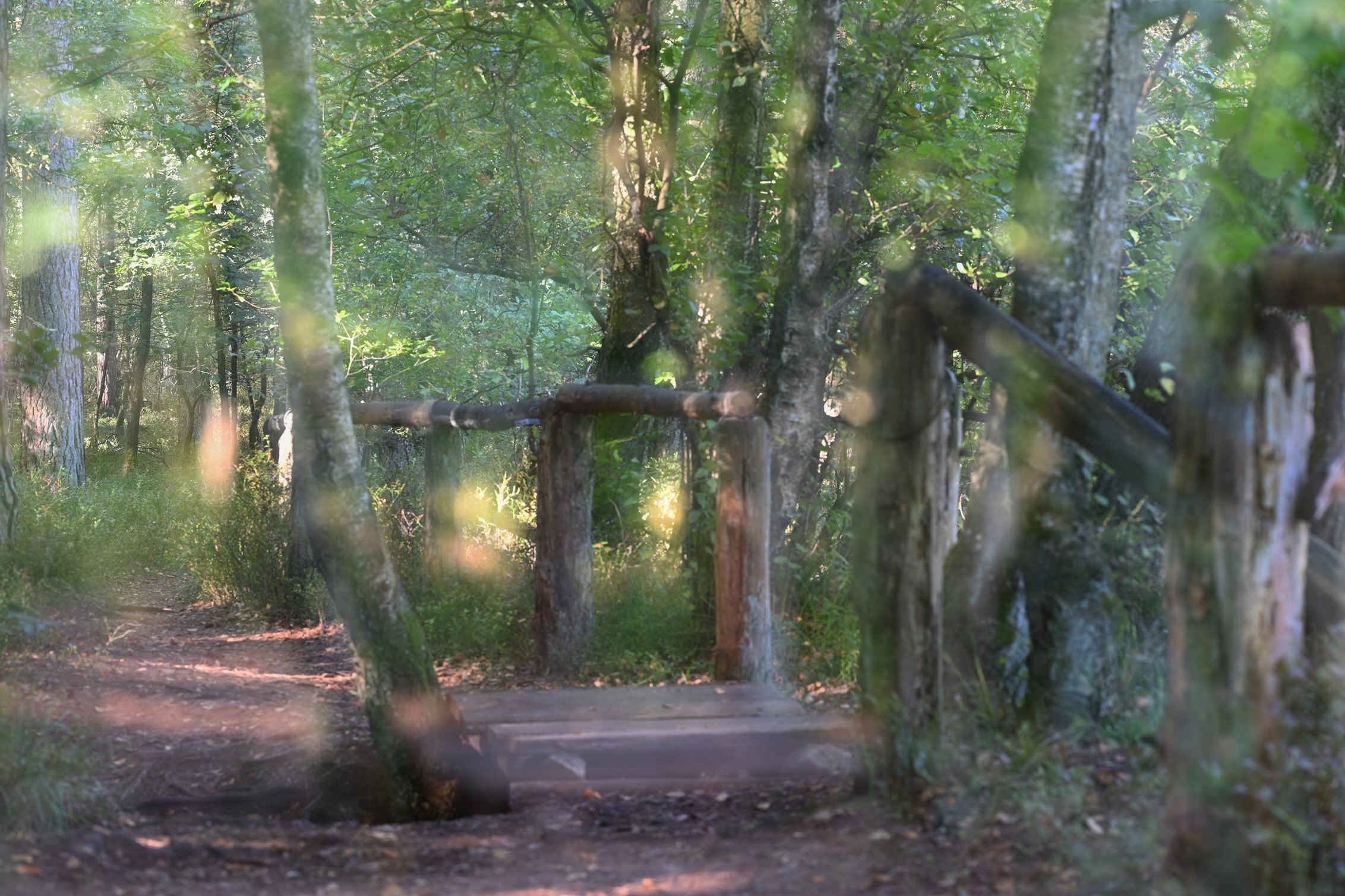 Das abwechlungsreiche und schöne Furlbachtal. (Foto: RSA/Pfaff)